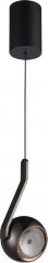 Подвесной светильник iLedex X-24619P BK
