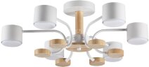 Потолочная люстра Lumion 8231/6C
