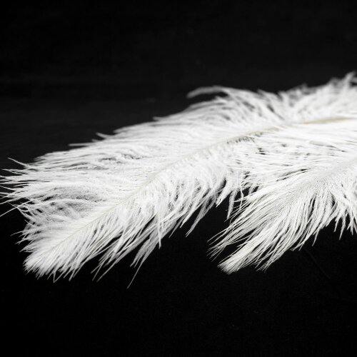 Подвесная люстра Lussole LSP-8601