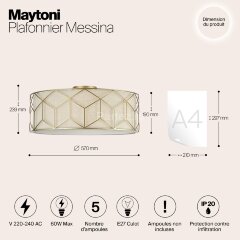 Потолочная люстра Maytoni H223-PL-05-G
