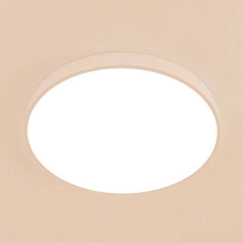 Потолочный светильник Citilux CL724105G0