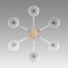 Потолочная люстра Lumion 8095/6C