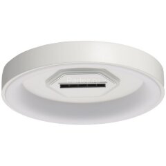 Потолочный светильник DeMarkt 424014401