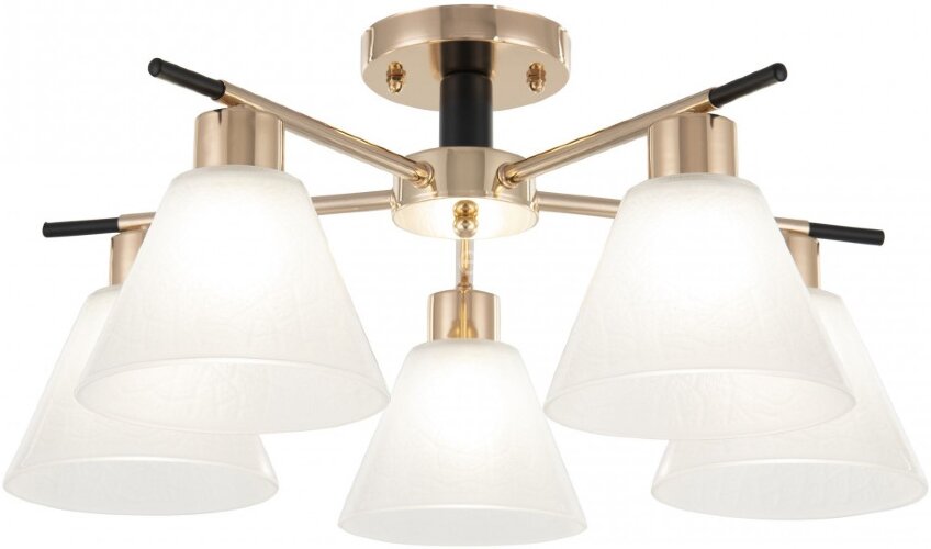 Потолочная люстра Arte Milano 322119/5 FG+BK