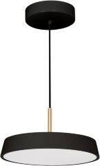 Подвесной светильник Arlight 033920(1)