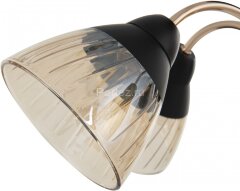 Потолочная люстра Arte Milano 320119/3 FG+BK