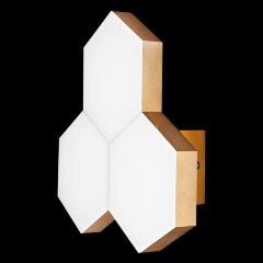 Настенный светильник Lightstar 750631