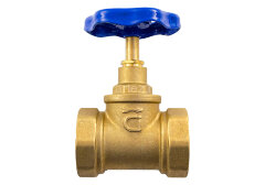 Клапан запорный 15Б3р D50 Ci 