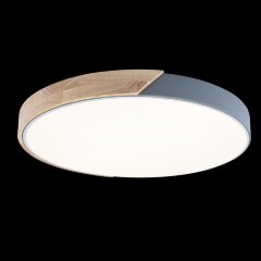 Потолочный светильник Loft It 10004/36 Grey