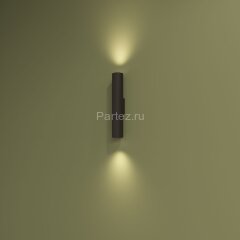 Настенный светильник Denkirs DK5022-BK