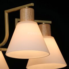 Потолочная люстра DeMarkt 635016505