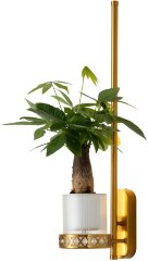 Бра Favourite 4050-1W