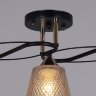 Потолочная люстра Reluce 06087-0.3-03 BK+FG
