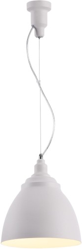 Подвесной светильник Maytoni P534PL-01W