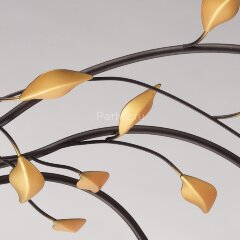 Потолочная люстра MW-Light 242015206