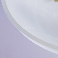 Потолочная люстра MW-Light 323012603