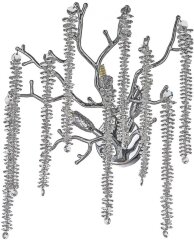 Бра Dio D'Arte Tavenna H 2.40.100 N