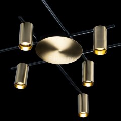 Потолочная люстра Loft It 8120C-10