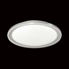 Настенно-потолочный светильник Sonex 2049/DL