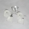 Потолочная люстра MW-Light 673017304