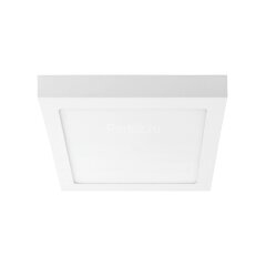 Настенно-потолочный светильник Lightstar 324124