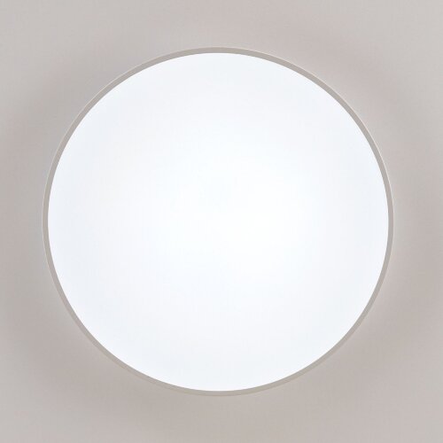 Потолочный светильник Citilux CL72495G0