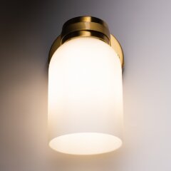 Бра Freya FR5446WL-01BS