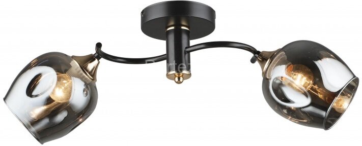 Потолочная люстра Imex MD.5963-2-S-COFFEE+FGD