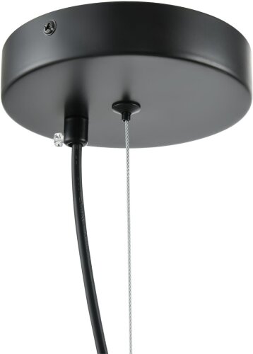 Подвесной светильник Lumion 6595/4A