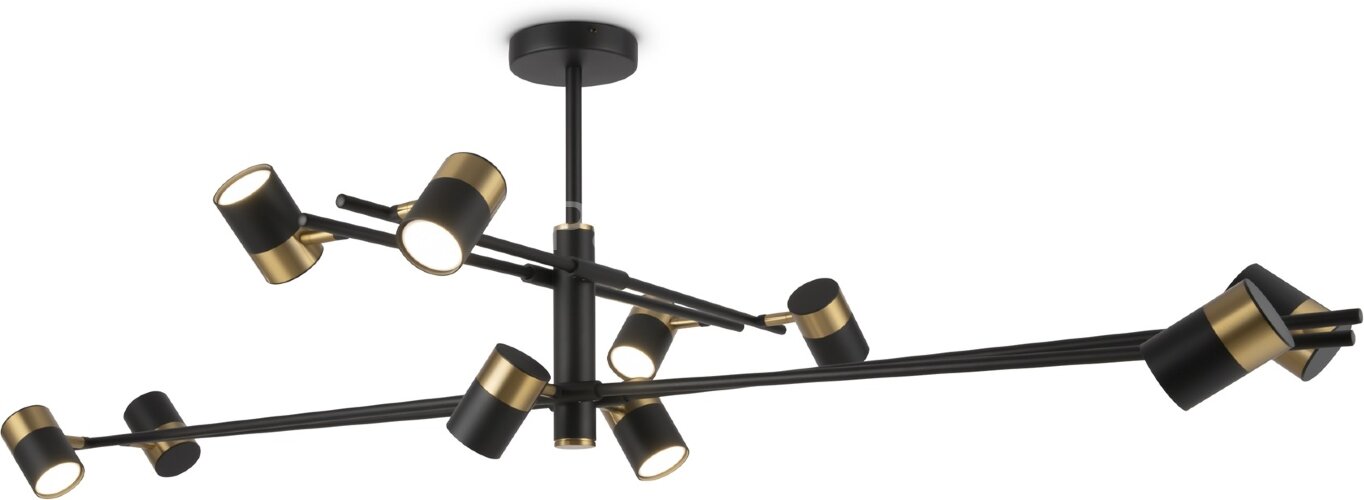 Потолочная люстра Freya FR5201PL-10B