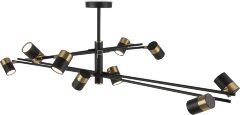 Потолочная люстра Freya FR5201PL-10B