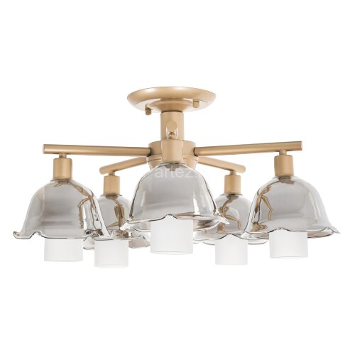 Потолочная люстра MyFar MR1481-5C