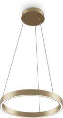 Подвесной светильник Maytoni MOD058PL-L22BSK