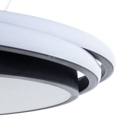 Потолочный светильник Arte Lamp A2688PL-1BK