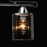 Потолочная люстра MW-Light 638019705