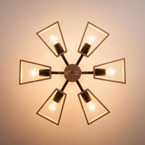 Потолочная люстра Eurosvet 70056/6 черный