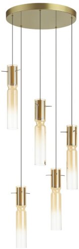 Подвесная люстра Odeon Light 5058/25LA