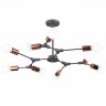 Потолочная люстра Evoluce SLE106403-09
