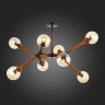 Потолочная люстра Evoluce SLE109402-08