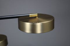 Потолочная люстра Zortes ZRS.01243.06