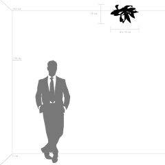 Потолочная люстра Lightstar 754167