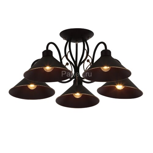 Потолочная люстра Evoluce SLE120402-05