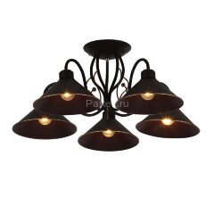 Потолочная люстра Evoluce SLE120402-05