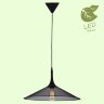 Подвесной светильник Lussole Loft GRLSP-9813
