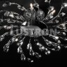 Потолочная люстра Lightstar 791184