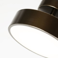 Потолочный светильник F-Promo 3060-2P