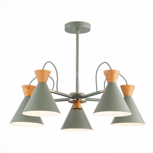 Потолочная люстра Evoluce SLE125112-05