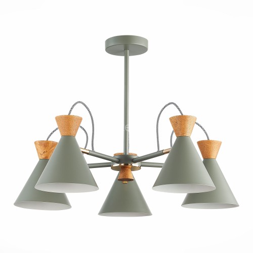 Потолочная люстра Evoluce SLE125112-05