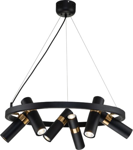 Подвесная люстра Favourite 2997-6P