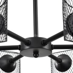 Потолочная люстра Lumion 8238/6C